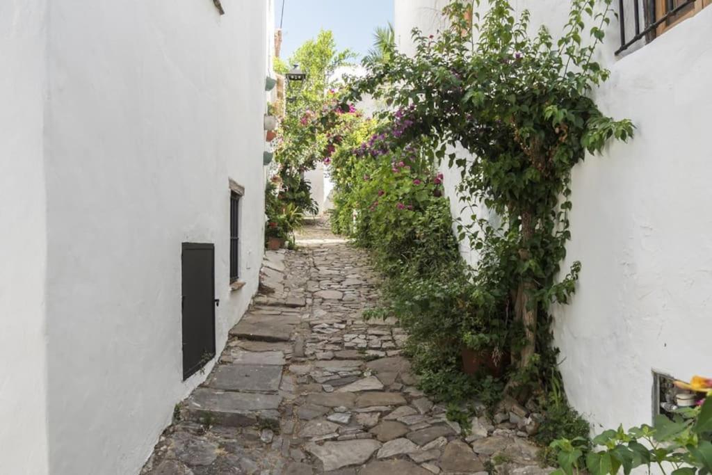 Tranquilo Y Comodo Apartamento En Vejer De La Frontera Dış mekan fotoğraf